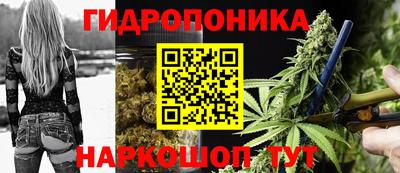 шишки Ликино-Дулёво