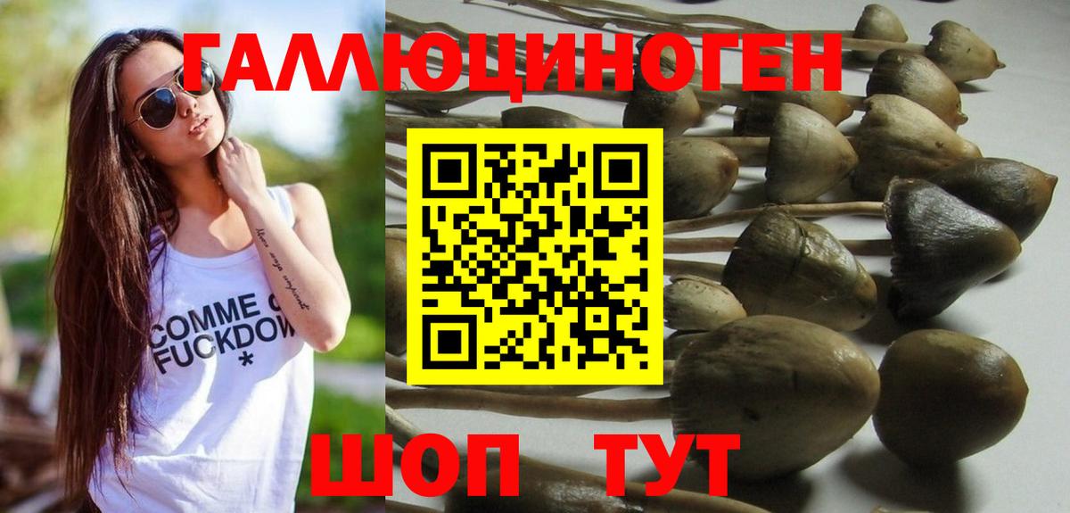 Галлюциногенные грибы GOLDEN TEACHER  Вход с VPN  Галлюциногенные грибы мицелий  Маркс 